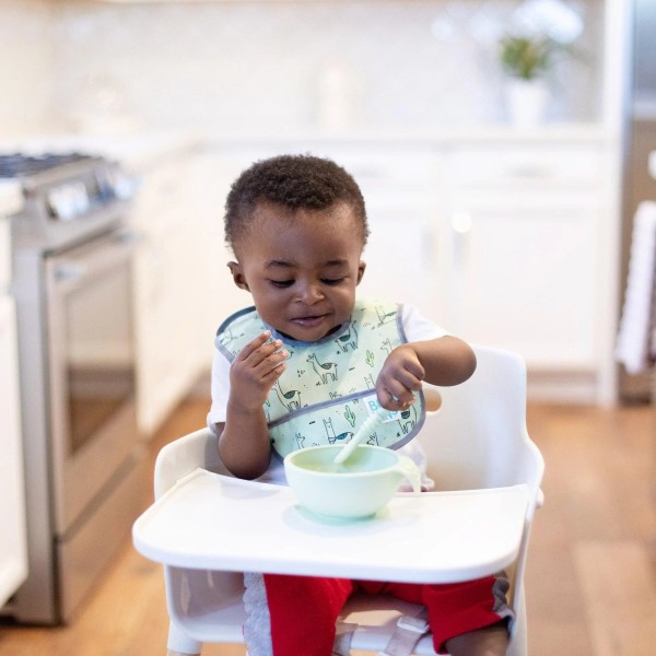 Starter Bib Baberos de Inicicación - 3-9 meses (2 paquete) - Cacti & Llamas