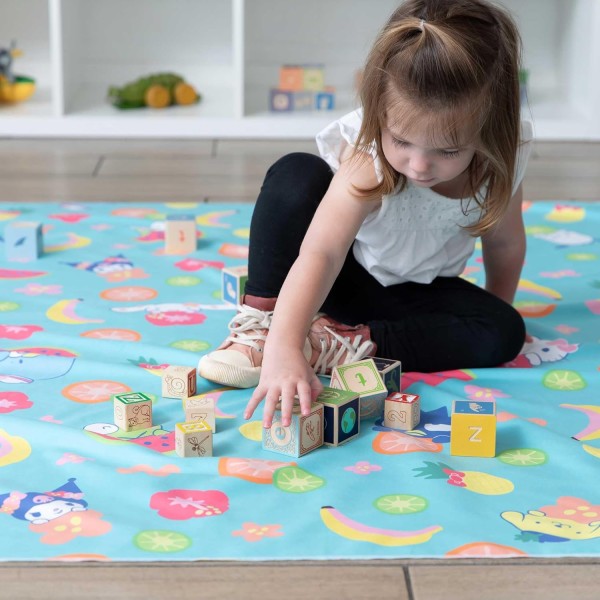 Second Chance (No Original Packaging) - Reversible Roll & Go Blanket