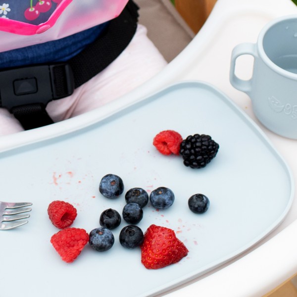 Mini Plat-napperon en Silicone pour Bébé