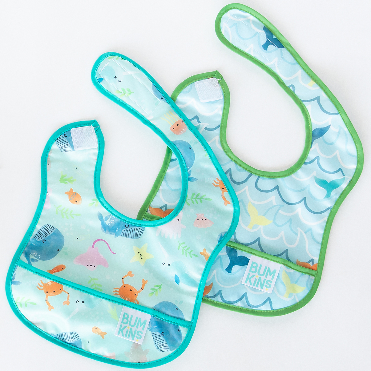 Ocean Life & Whale Tail