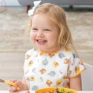 Disney Winnie the Pooh and Friends