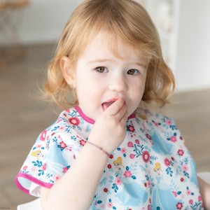 Disney Prinses Assepoester