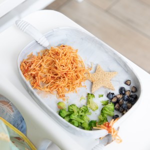 Siliconen Tray Bord met Zuignap