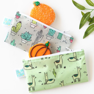 Cacti & Llamas