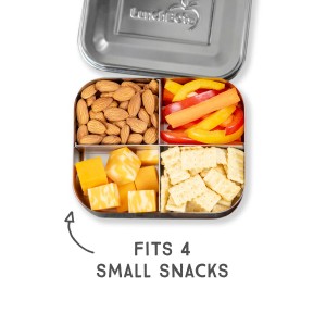 Medium Quad -  Bento-Boxen