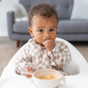 Palms + Checks Collection