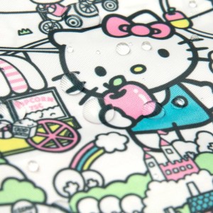 Hello Kitty Collection