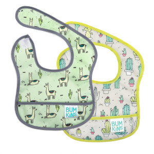 Cacti & Llamas