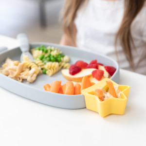 Siliconen Tray Borden met Zuignap