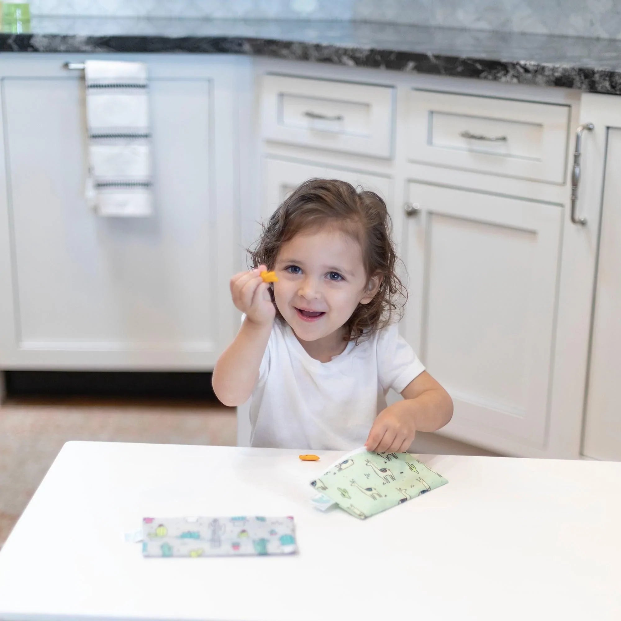 Reusable snack bag - small (2 pack) - Cacti & Llamas