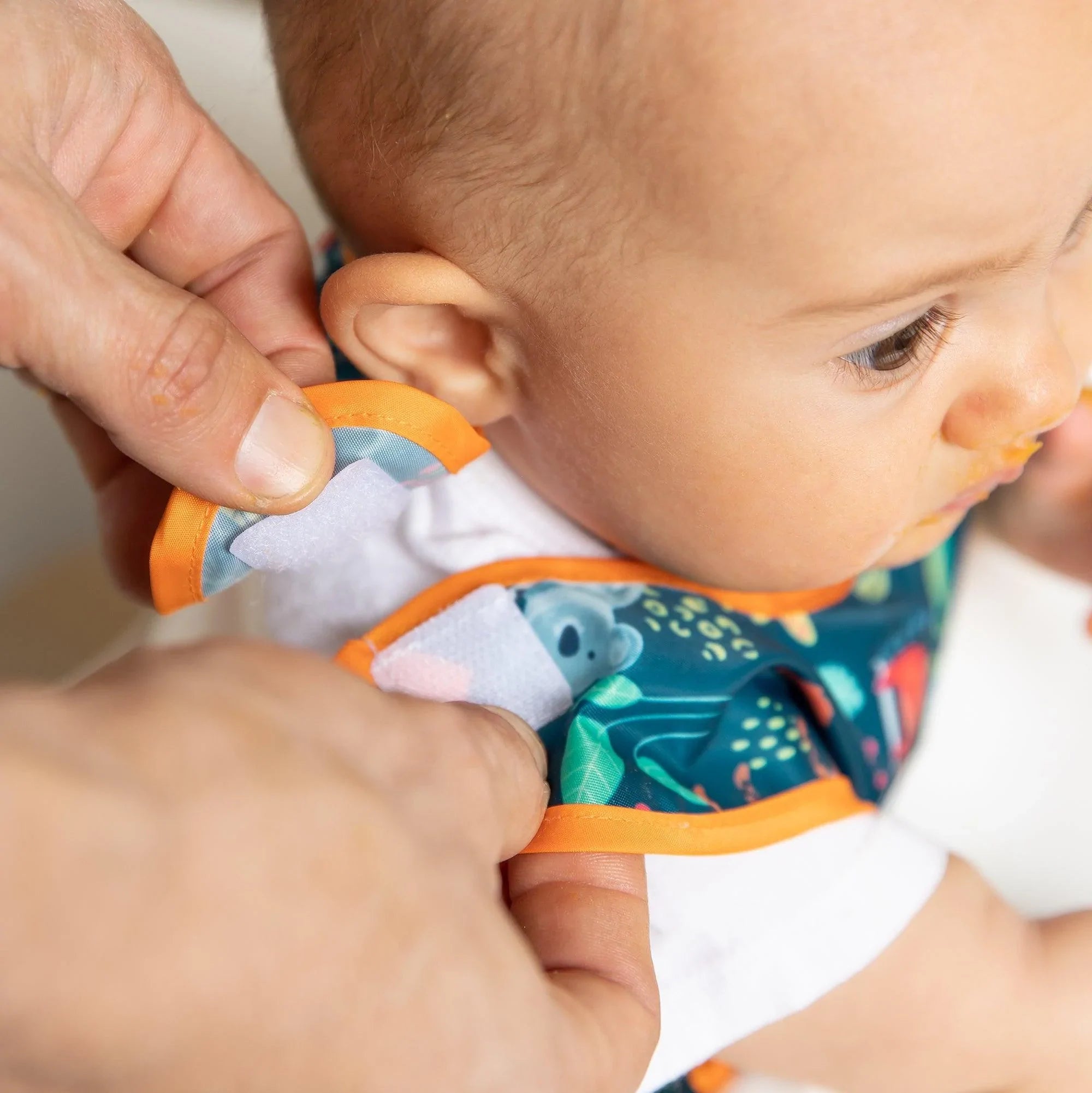 Starter bib (2 pack) - Jungle & Animal Prints