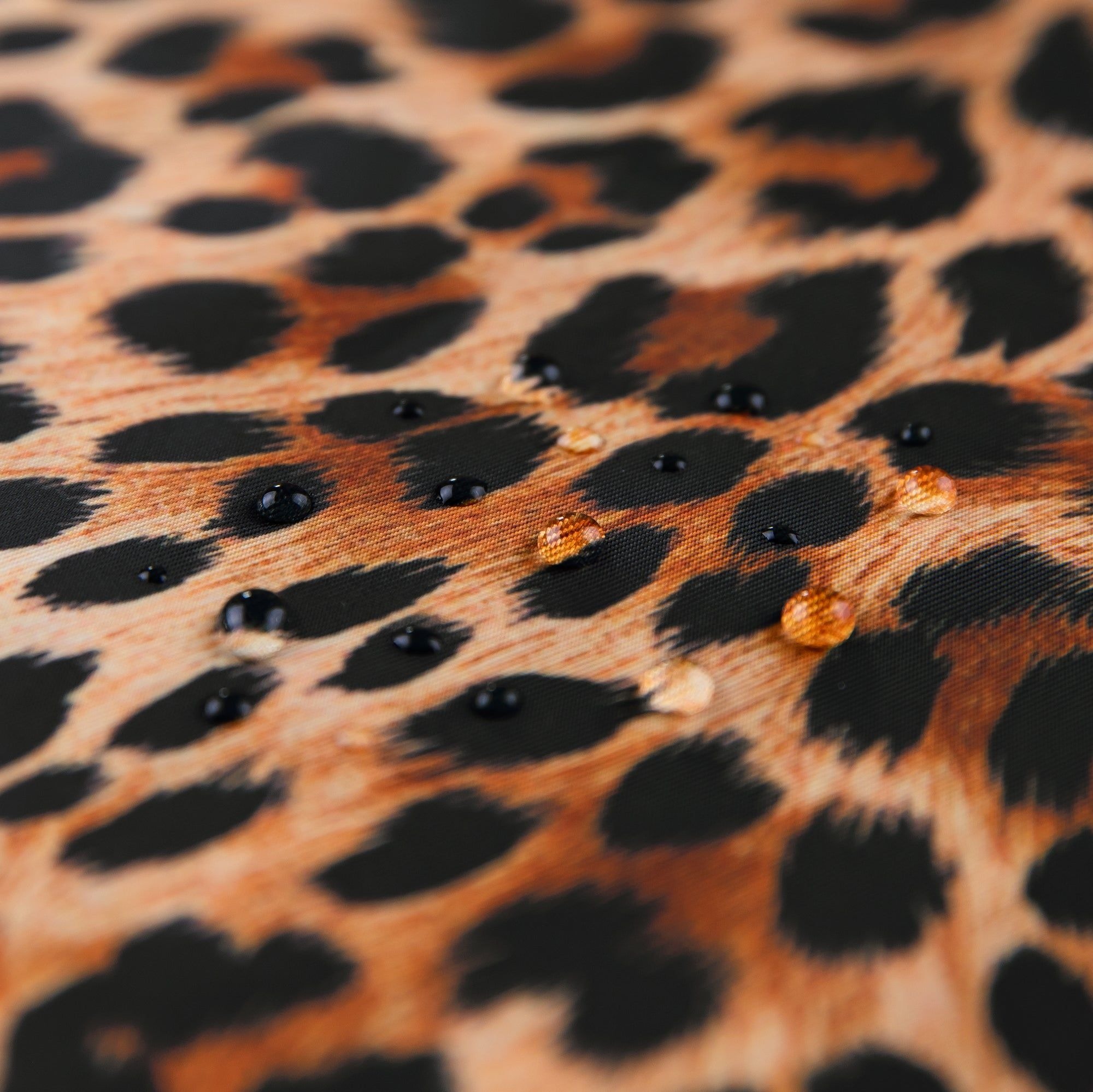 Wet / Dry Clutch - Leopard