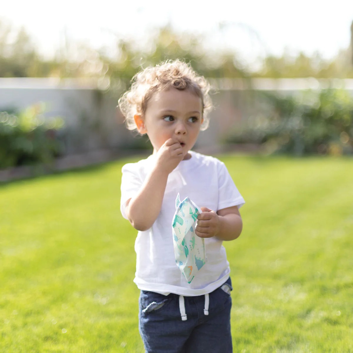 Sac à Collations - Petit (2 paquet) - Dinosaurs & Blue Tropic